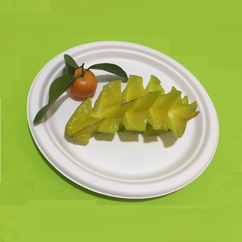 Eco-vriendelijk servies