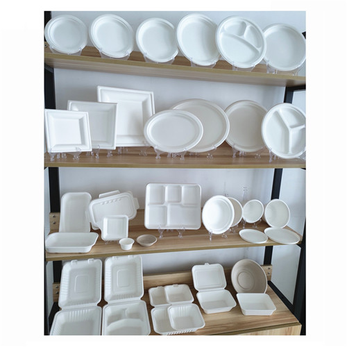 suikerriet bagasse serviesgoed