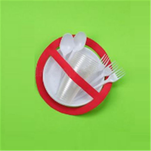 Het EU-parlement keurt het verbod op plastic voor eenmalig gebruik goed
