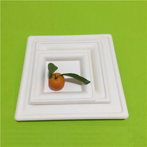 nieuw bioplaatupdate-aanbod voor eind 2019