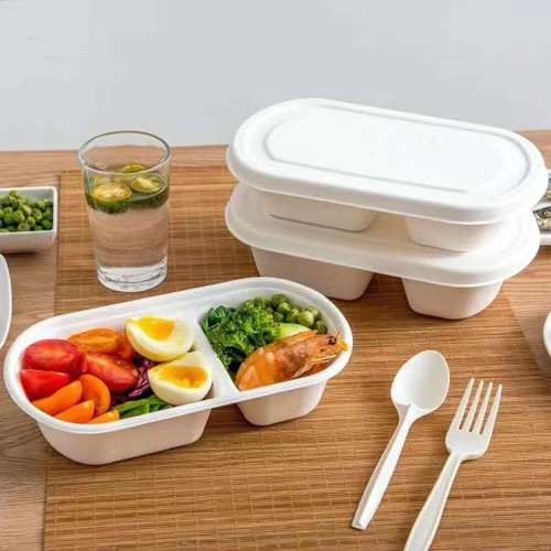 Bagasse-producten van suikerriet