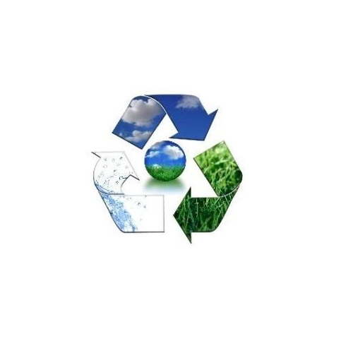 Queensland wil plastic rietjes en borden voor eenmalig gebruik verbieden om het leven in zee te redden