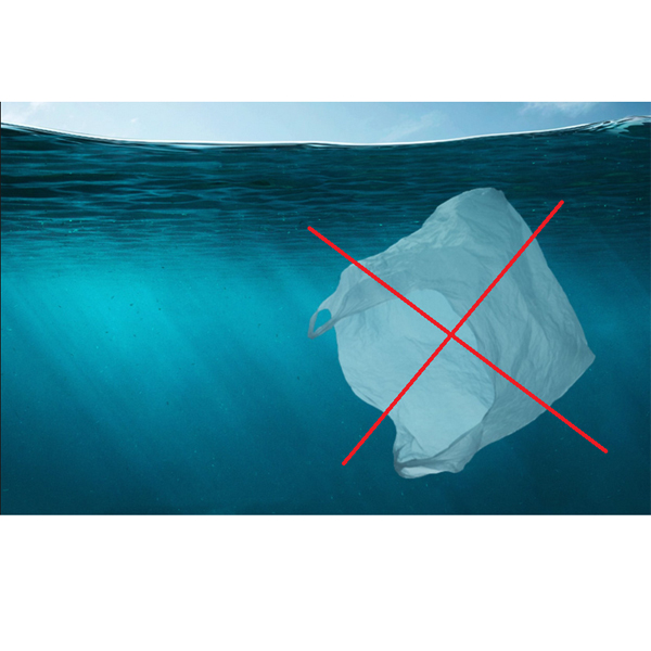 Zuid-Korea verbiedt plastic tassen voor eenmalig gebruik