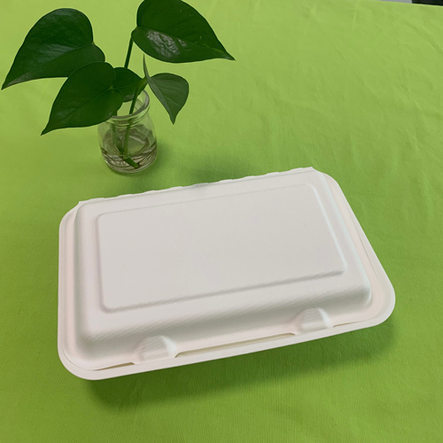 nieuwe bagasse voedselcontainer