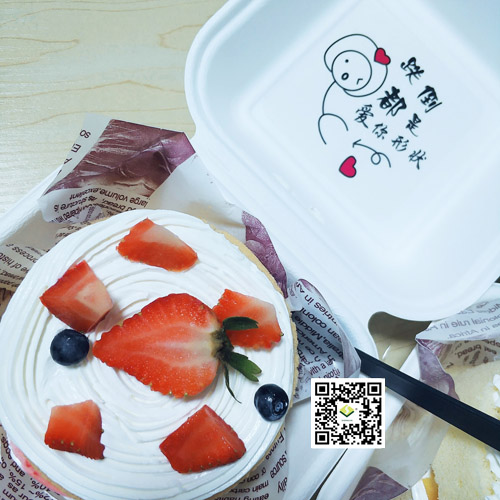 meer informatie over suikerriet bagasse servies