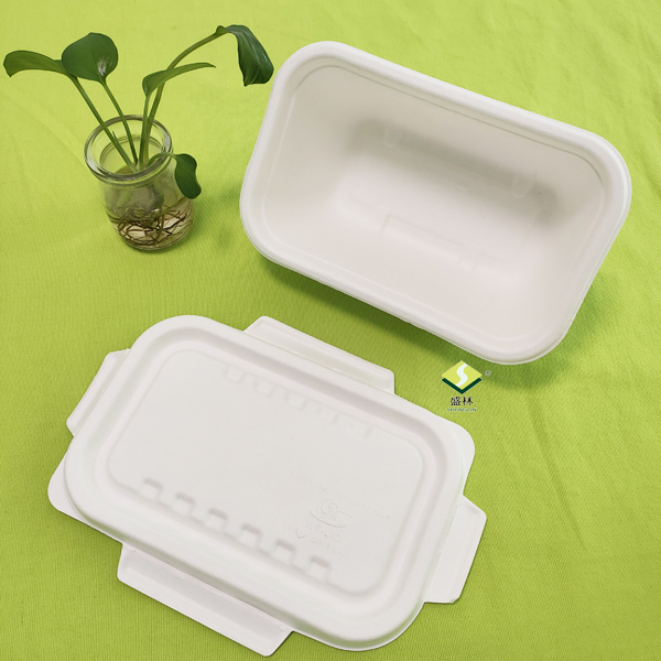 bagasse containers zijn verpakt en klaar om te worden verzonden