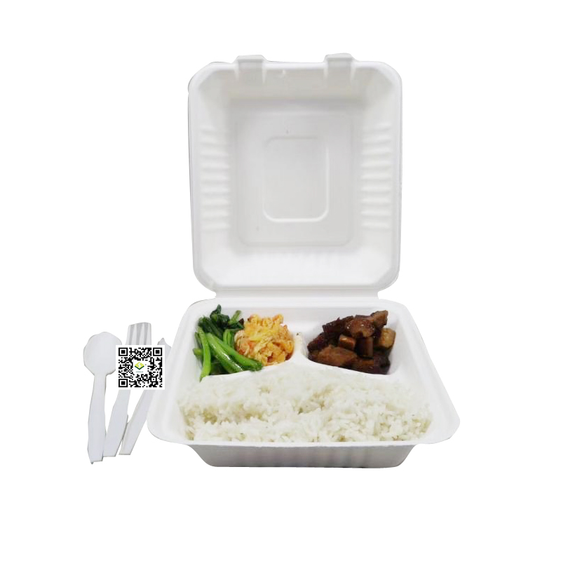 Suikerriet bagasse to go box is in productie