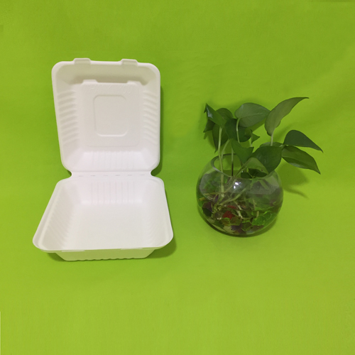 Suikerriet bagasse serviesgoed is verpakt en klaar om te worden verzonden