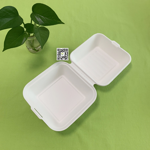 Nieuwe suikerriet bagasse clamshell dozen