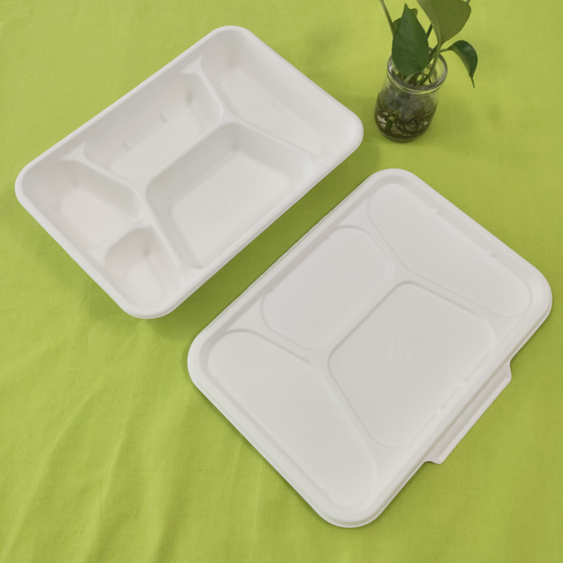 bagasse 5 vaks bakje met deksel
