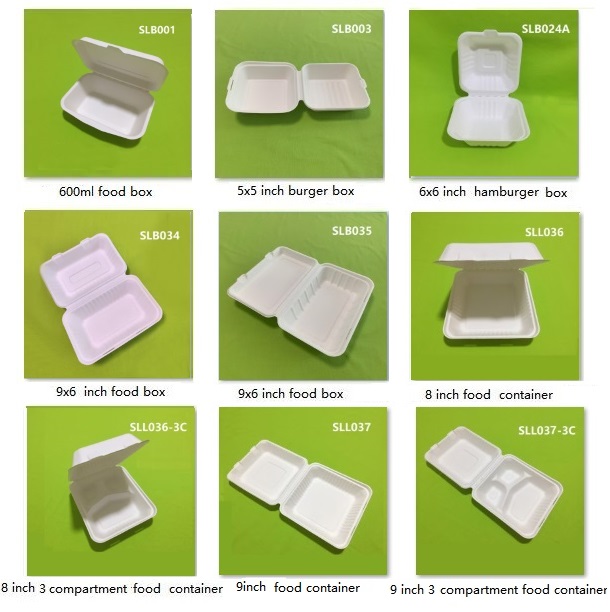 eco-bagasse papieren clamshell-dozen