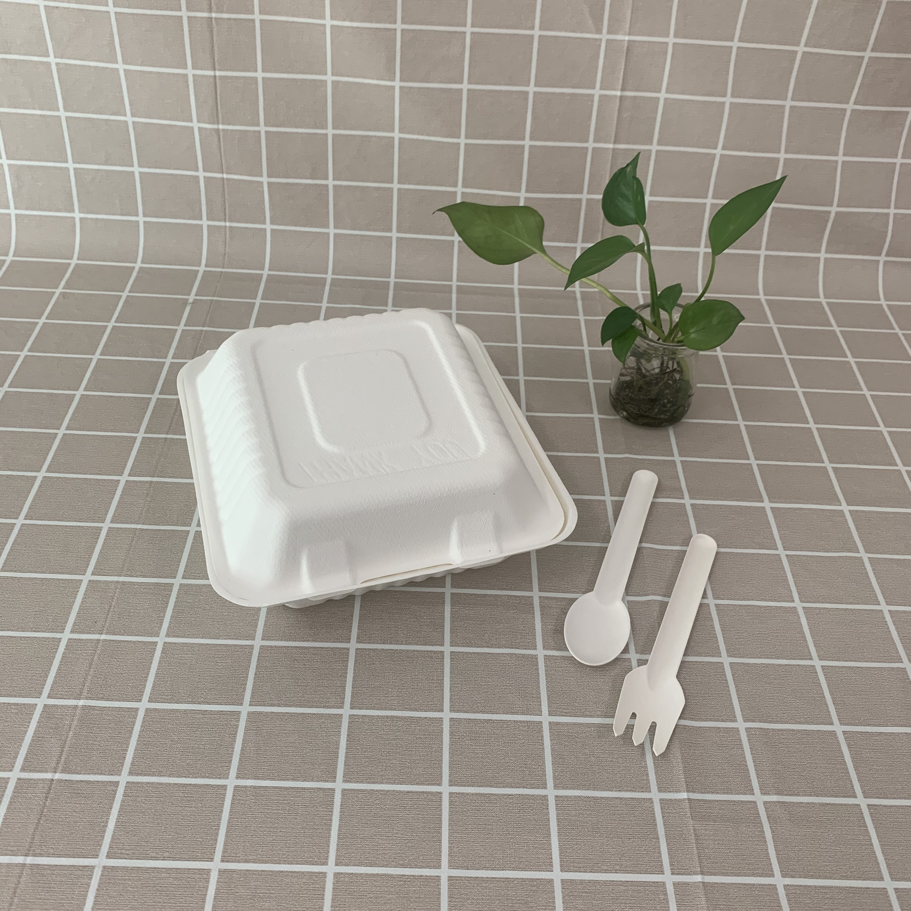 Laden van eco-bagasse-voedselcontainers