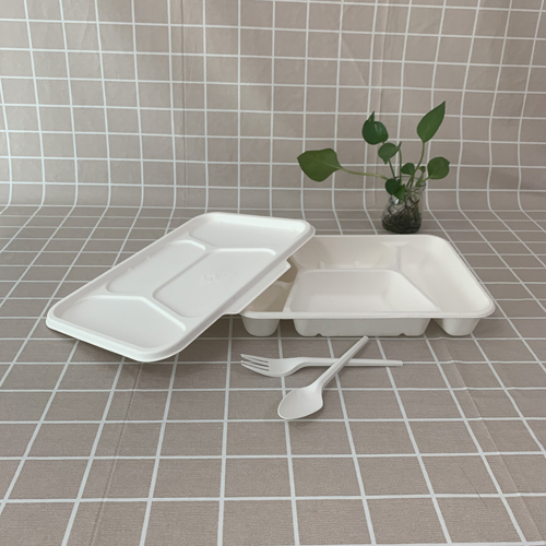 Laden van eco bagasse voedseldozen