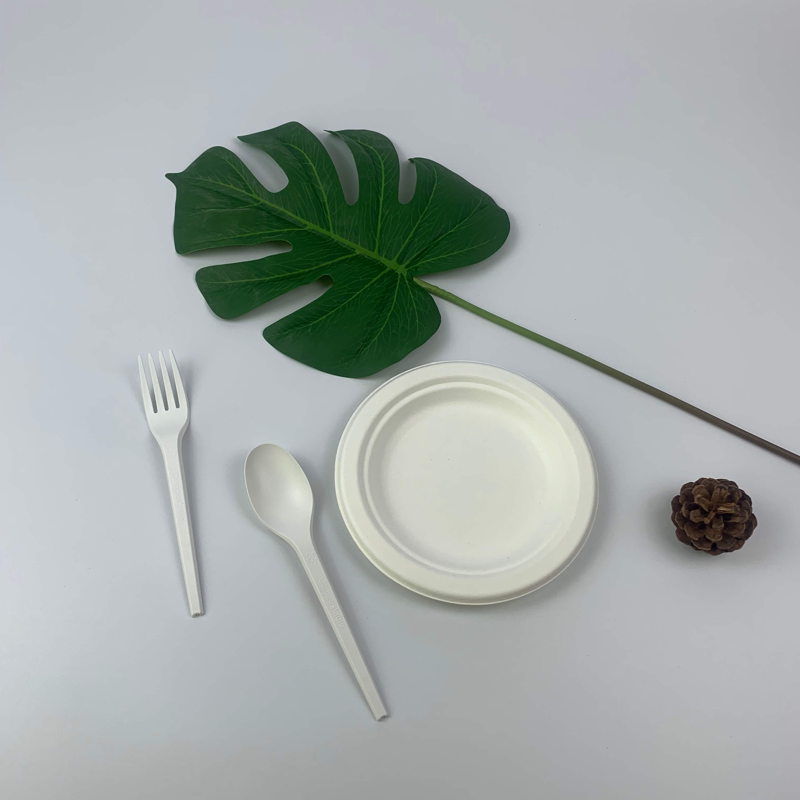 Bagasse wordt gebruikt als een milieuvriendelijk materiaal