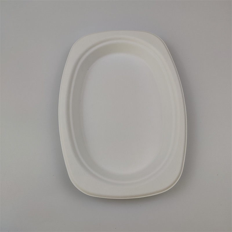 bagasse ovale plaat 9'' x 6''