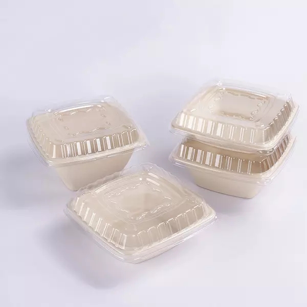 Bagasse vierkante kom