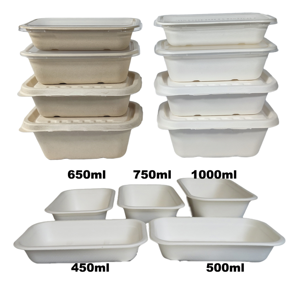 Rechthoekige lange bagasse containers