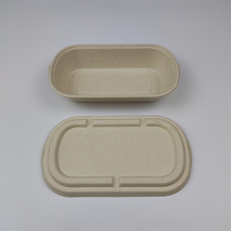 Bagasse-verpakking