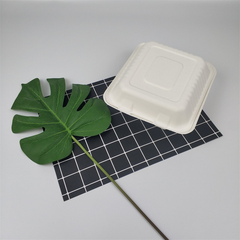 9 inch suikerriet bagasse voedseldoos
