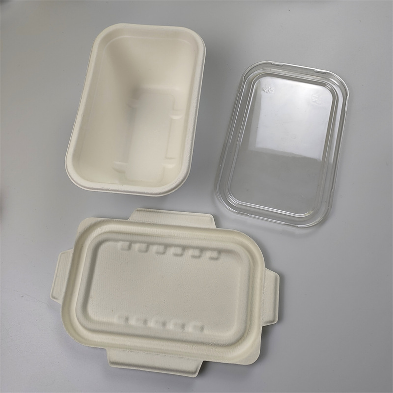 Rechthoekige bagassecontainer van 1000 ml