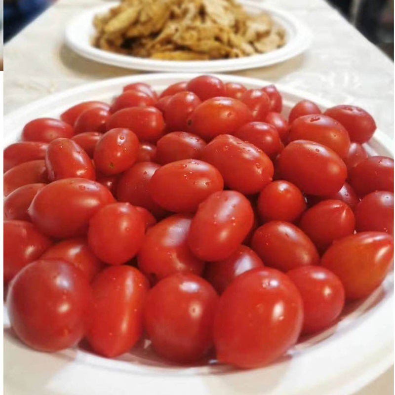 Vezelpulp Bagasse Serviesborden